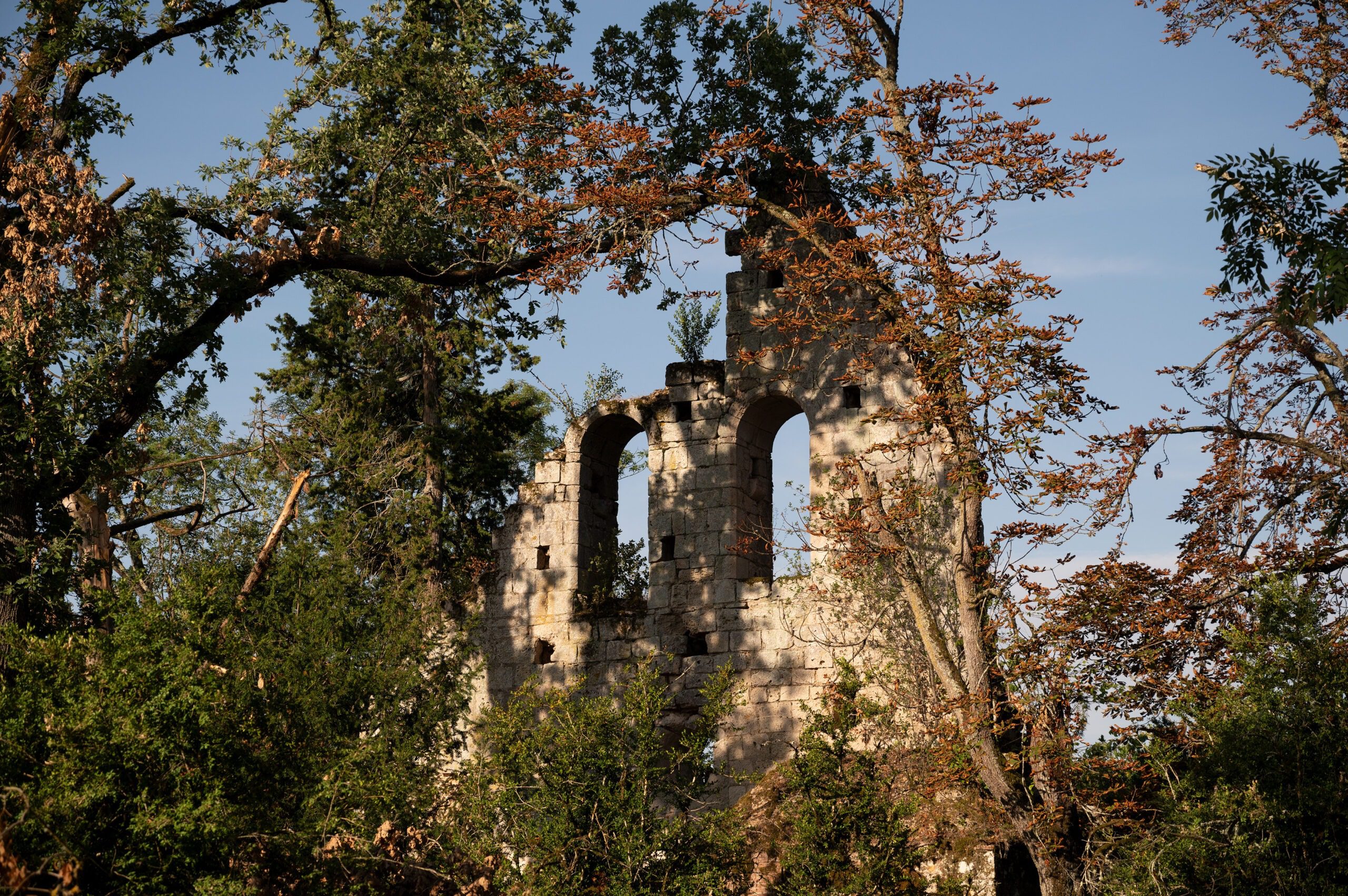 Chateau De Monbrison - Monbrison